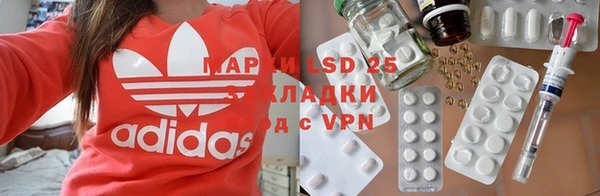 индика Нягань