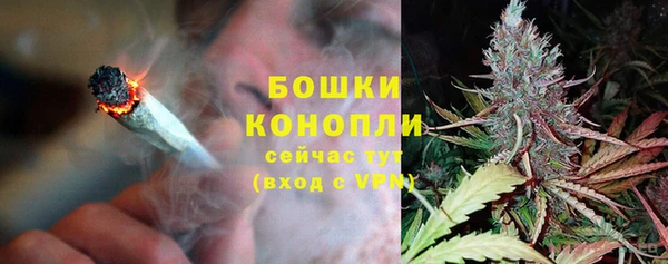 apvp Богородицк